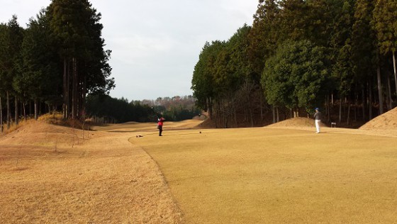 角田理恵子