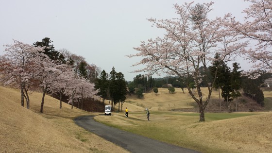 桜５番